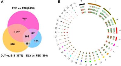 Alterations in hepatic mitotic and cell cycle transcriptional networks during the metabolic switch in broiler chicks